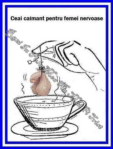 pescuit - 547771567475603274728789631135n.jpg